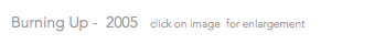 Burning Up - 2005 click on image for enlargement